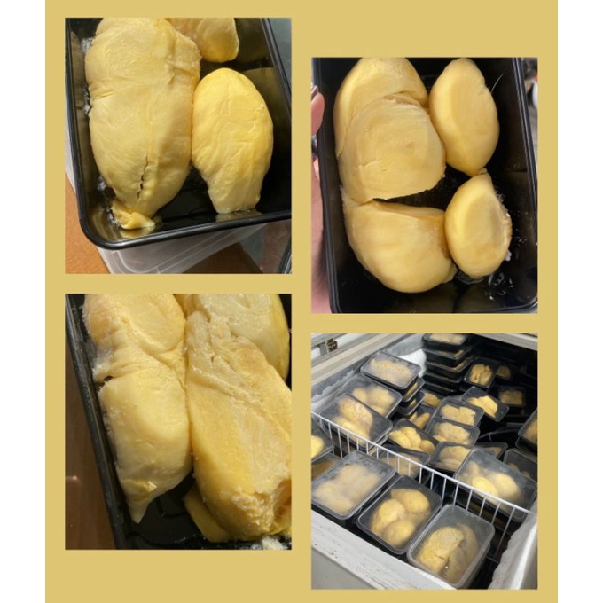 

durian monthong parigi terlaris