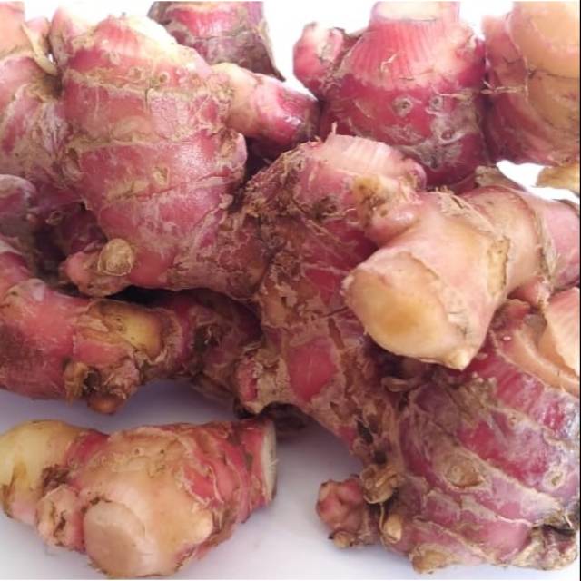 

Jahe Merah/Zingiber officinale varietas rubrum/250GR