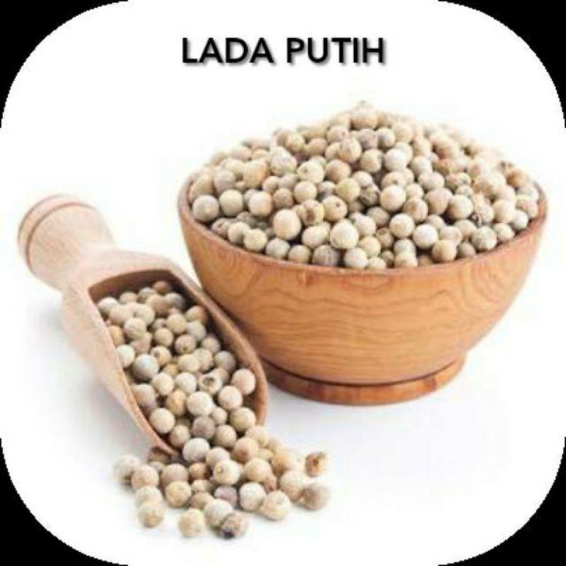 

BUMBU MASAK//LADA PUTIH ALAMI UTUH