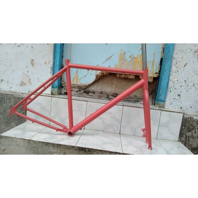 frameset gravel custom 1