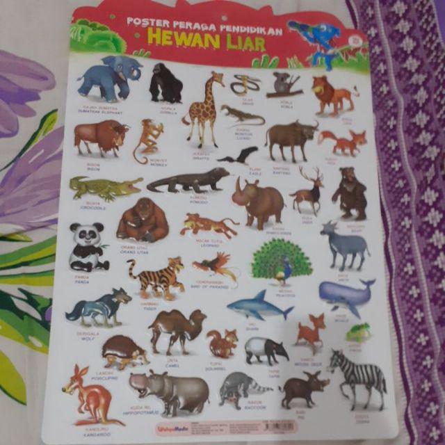 Poster Peraga Pendidikan Hewan Liar Shopee Indonesia