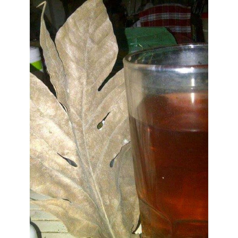

Daun sukun kering obat ramuan jamu herbal