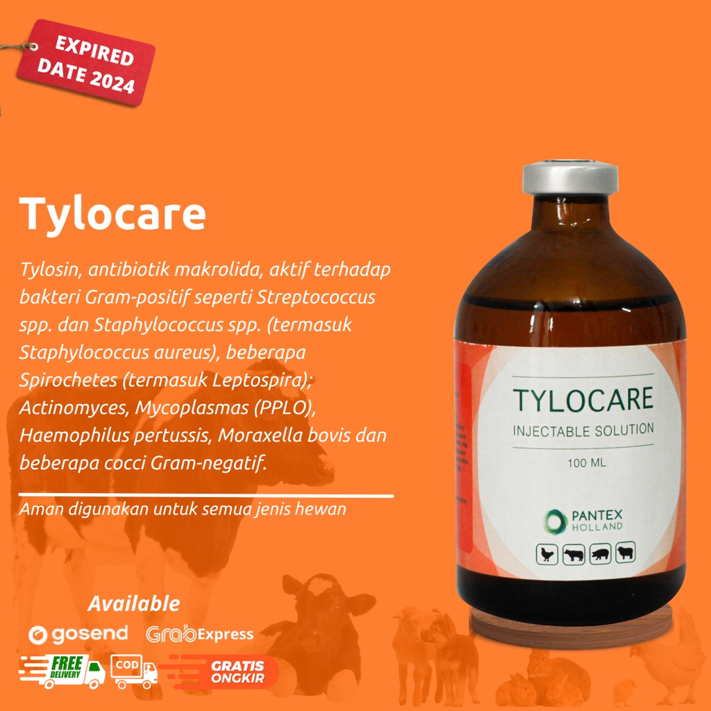 Tylocare 100ml Obat Hewan Tylosin Bermutu