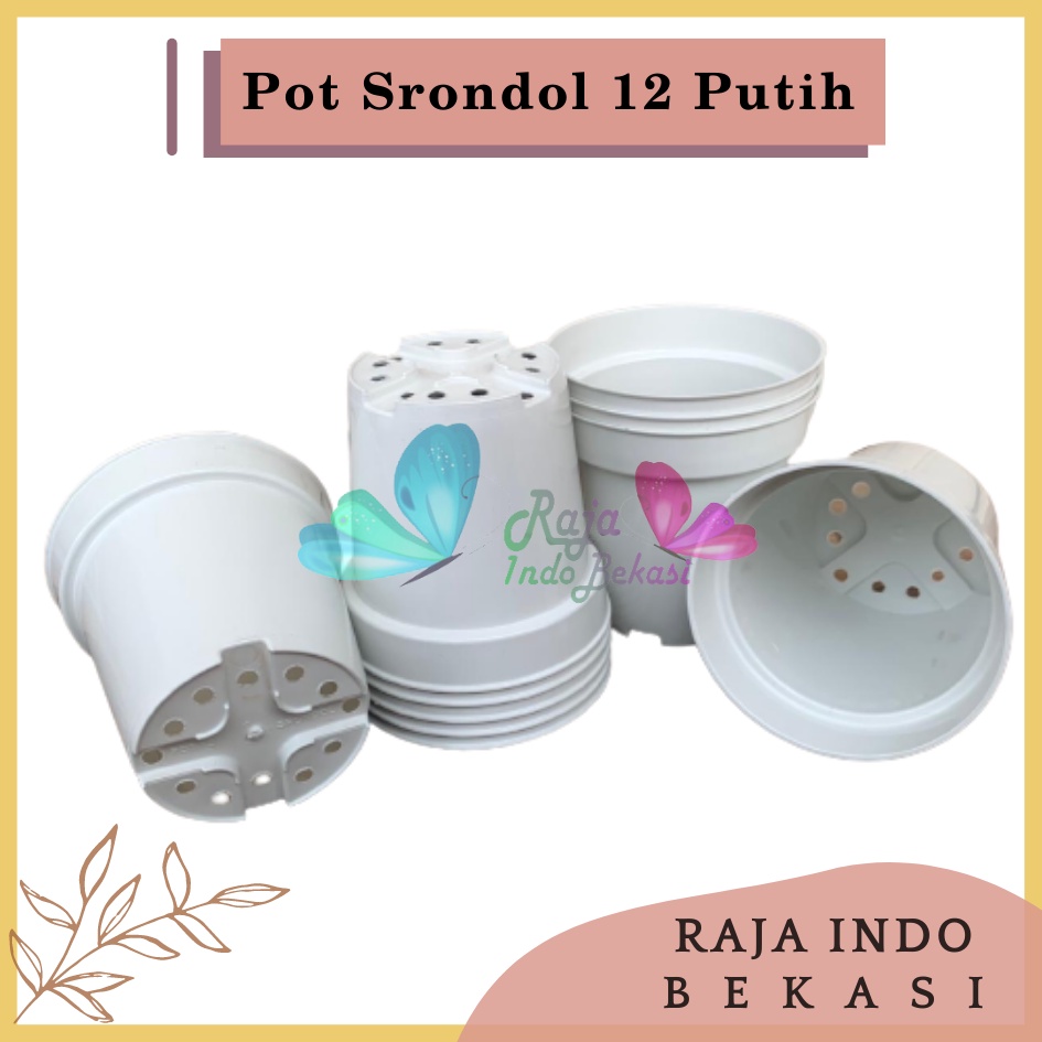 Pot Tinggi Srondol 12 PUTIH - Pot Tinggi Usa Eiffel Effiel 18 20 25 Lusinan Pot Tinggi Tirus 15 18 20 30 35 40 50 Cm Paket murah isi 1 lusin pot bunga plastik lusinan pot tanaman Pot Bibit Besar Mini Kecil Pot Srondol