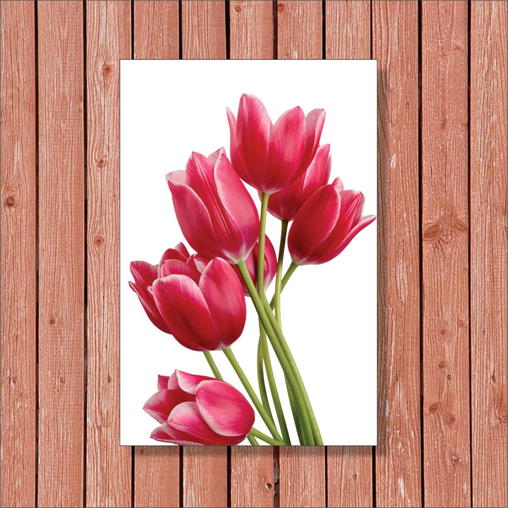  Hiasan Dinding Gambar Bunga Tulip Gambar Ngetrend dan VIRAL