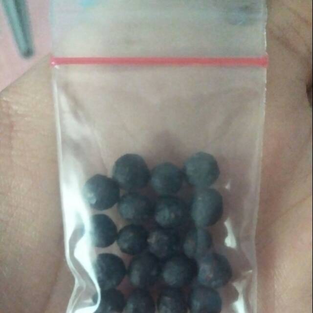 

Manjakani Alami Racikan Nenek