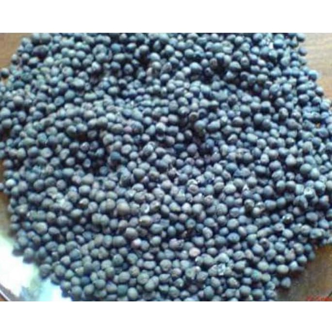 KW+ BENIH BIJI KAPUK RANDU KLENTENG ASLI