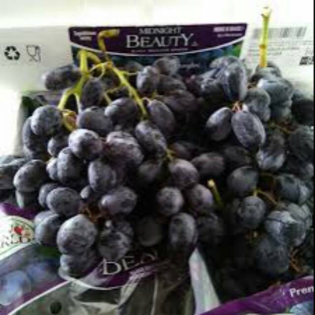 

Anggur Royal autumn seedless