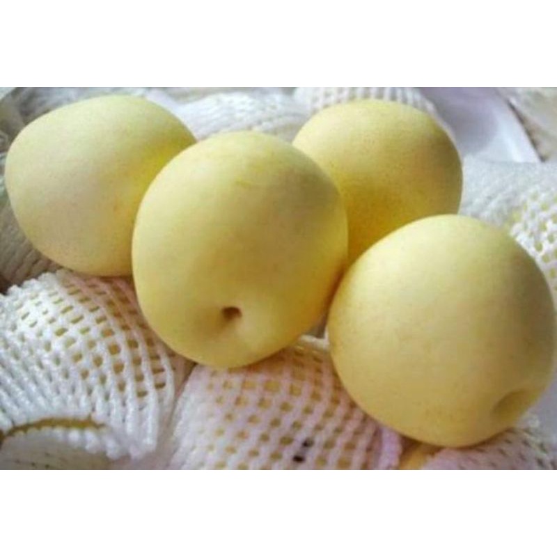 

PEAR MADU