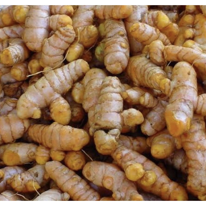

Kunyit super 1 kg Nass Bumbu Renpah