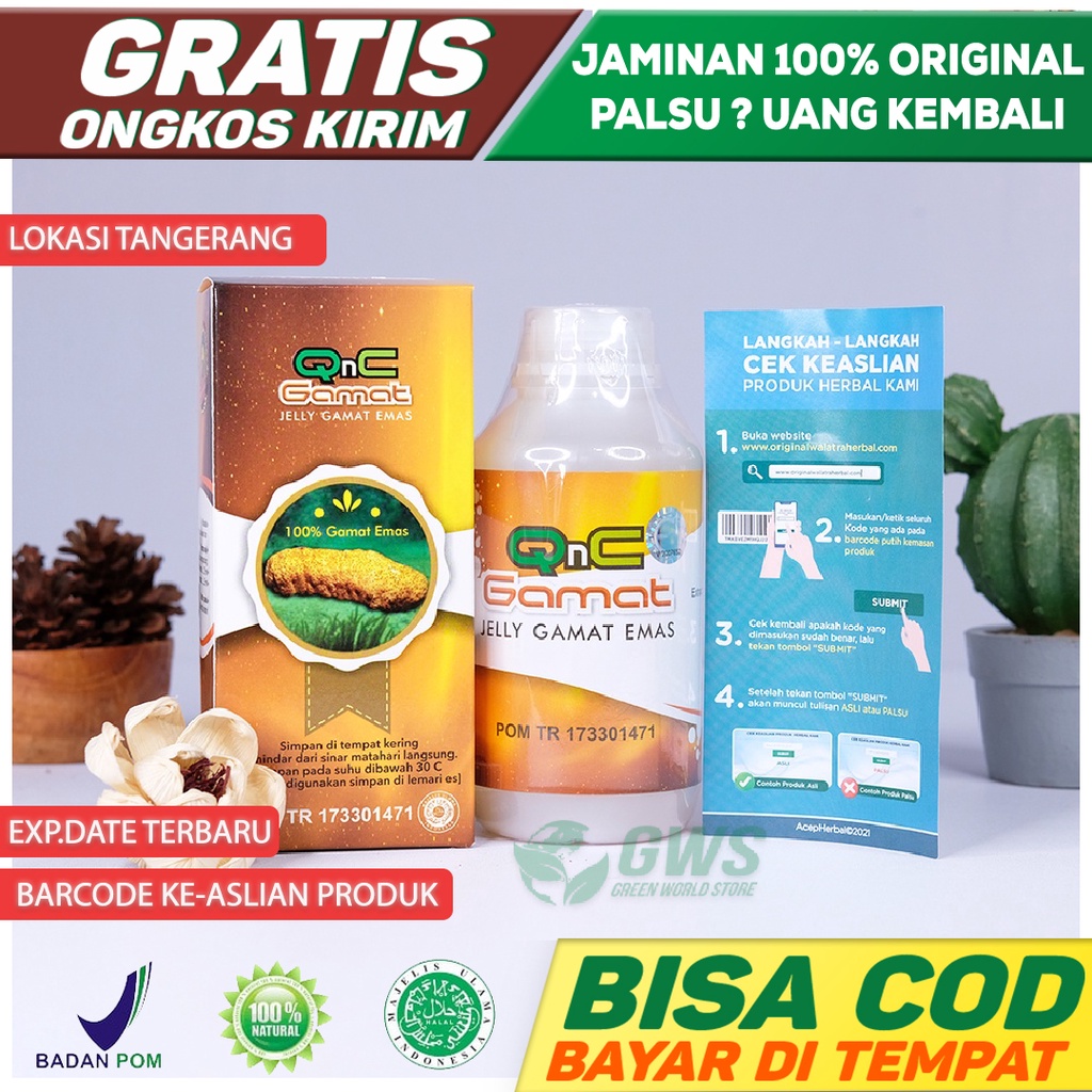 QNC Jelly Gamat Emas BERGARANSI - Q n C Jeli Gammat Bergaransi Asli Pusat Herbal di Banten Tangerang