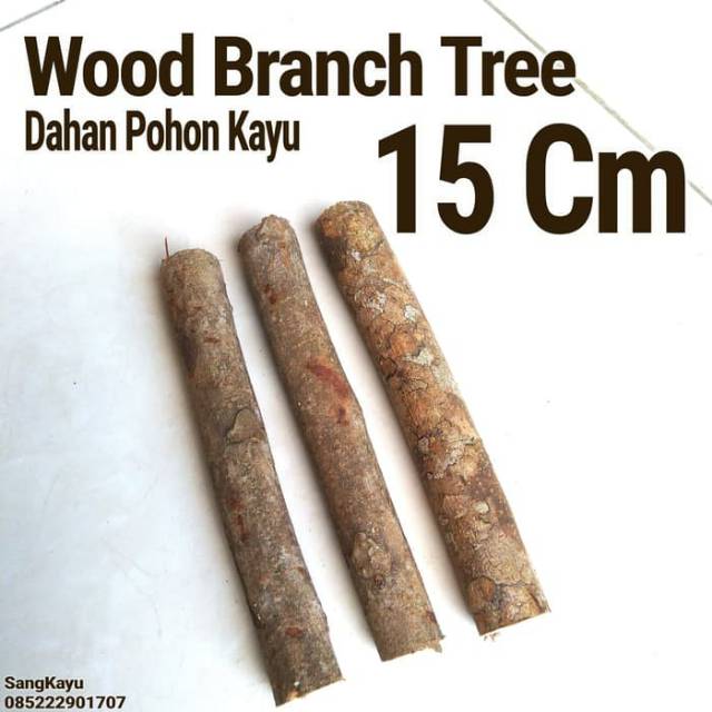 Wood Branch Tree 1-2x15 Cm Dahan kayu potongan kayu bahan craft decor