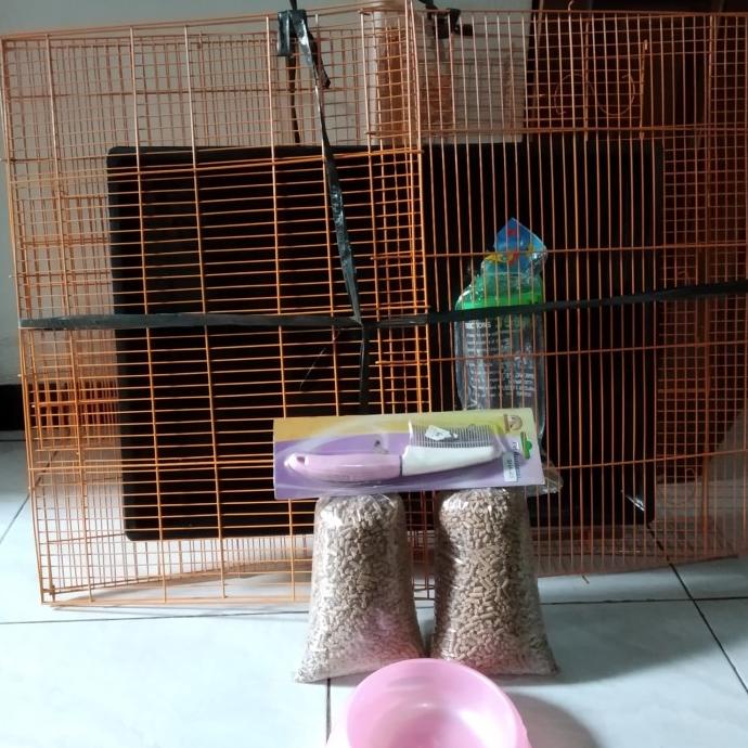 Paket Kelinci lengkap Termurah