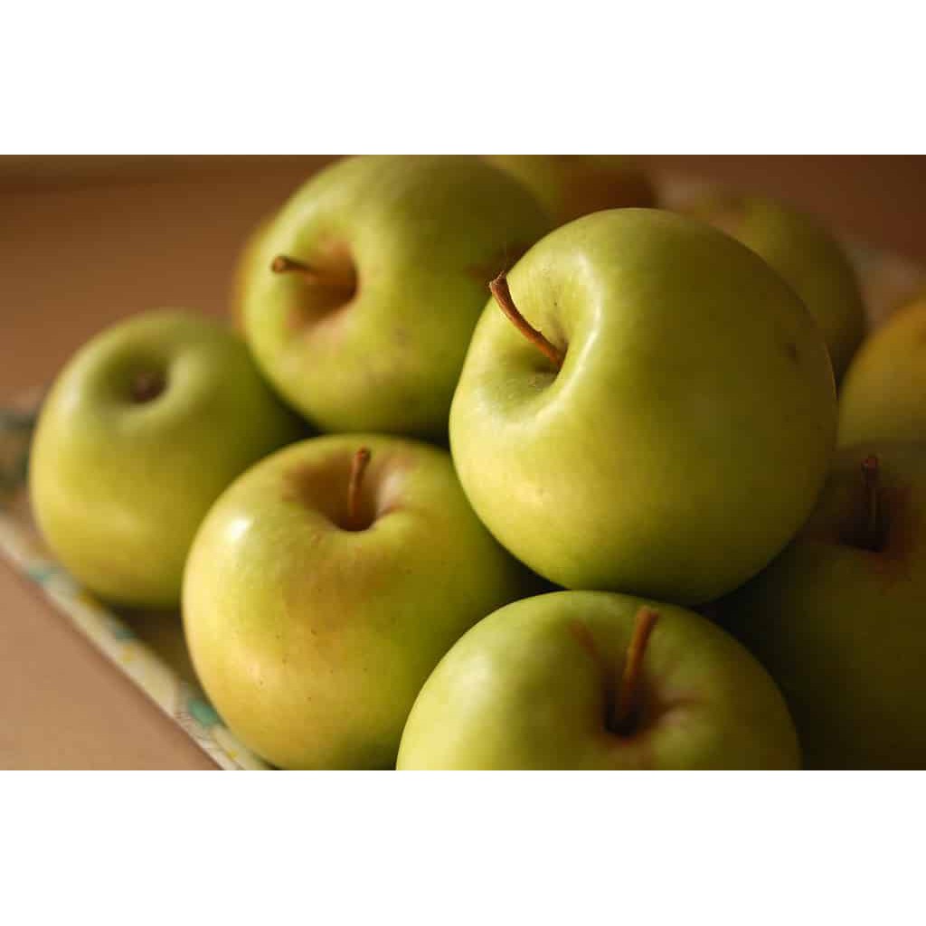 

APEL MALANG - MALANG APPLE