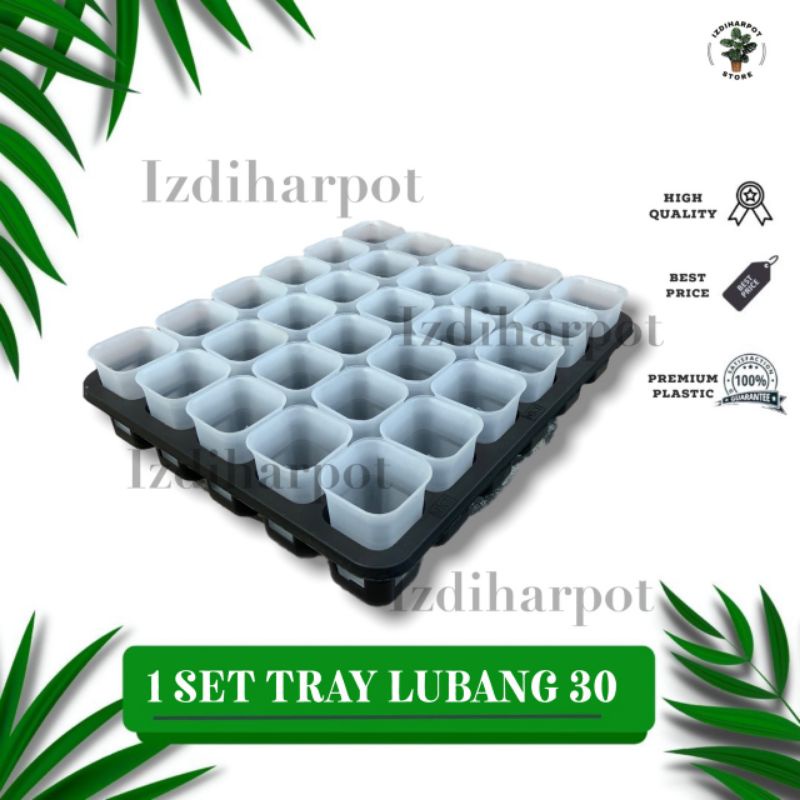 1 SET TRAY LUBANG 30 + POT NKT KOTAK 5CM BENING 30 PCS | TRAY SEMAI BIBIT