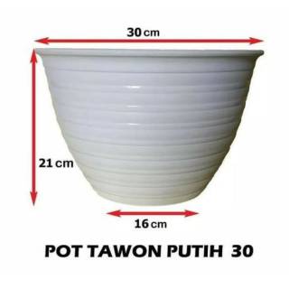 Pot tawon putih ukuran 30 bunga benih tanaman bibit Pot tawon putih ukuran 30 bunga benih tanaman bibit