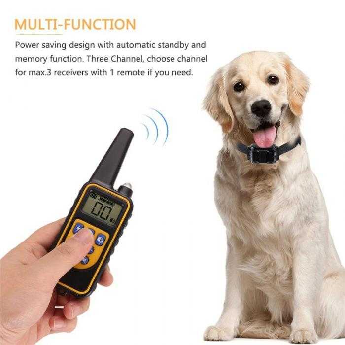 Pet Dog Training Shock Collar Stop Barking Device 1000 Meter Remote Alat Latihan Anjing