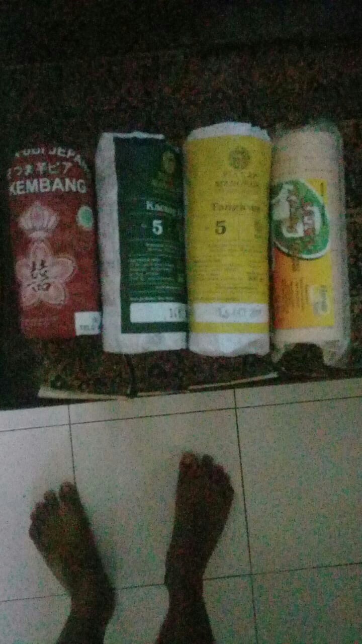 Pia Ubi Jepang Asli kembang