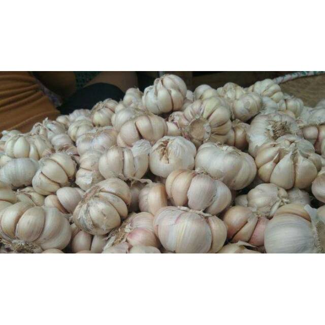 

Jual Bawang Putih