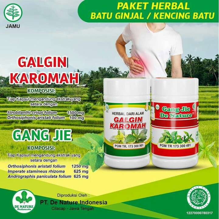 Obat pengancur batu ginjal de nature / peluruh kencing batu / sakit kencing / kencing tersumbat BPOM