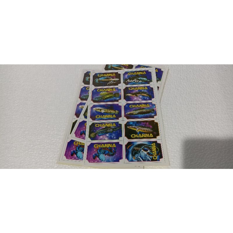 stiker channa murah hiasan aquarium stiker murah
