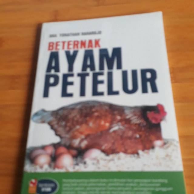 Beternak AYAM PETELUR