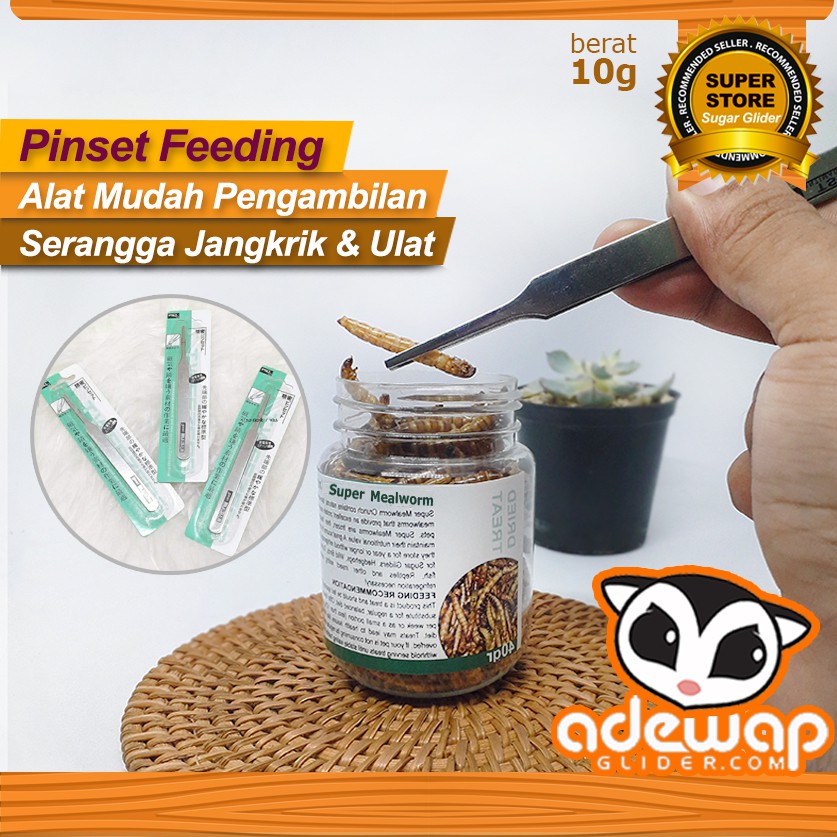ADEWAP GLIDER Pinset Feeding Makanan Sugar Glider