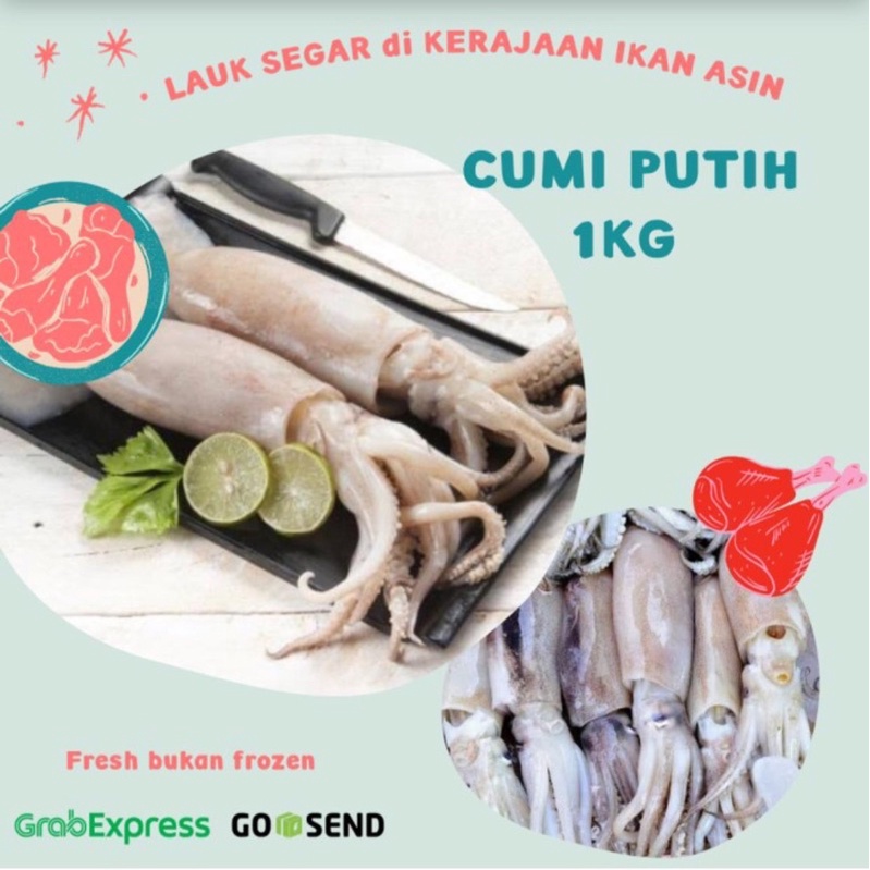 Jual Cumi Cumi Putih 1kg Shopee Indonesia