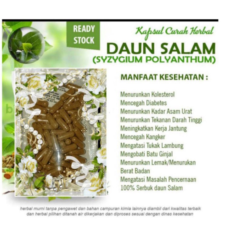 

AS Kapsul Serbuk Daun Salam Isi 100 Obat Herbal