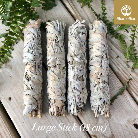 White Sage California Smudge Stick Large 20 cm (per ikat)