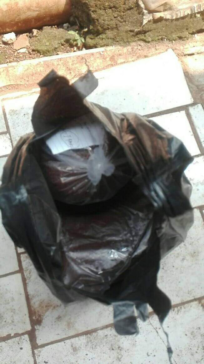 Cocopit/ Media Tanam Cocopiaet 500 Gr