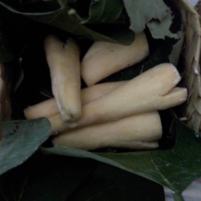 

Tape sari madu bondowoso