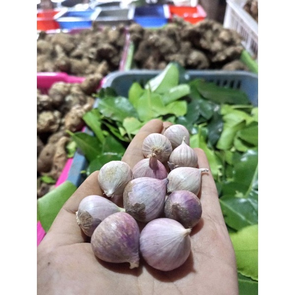 

Bawang Lanang 100gram
