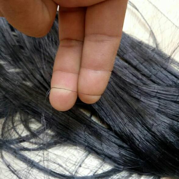 Jaring burung hitam lebar 4 meter tambah 2 benang.