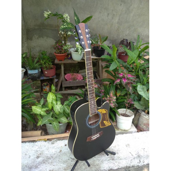 GITAR ELEKTRIK COLE CLARK Custom GRATIS KABEL JACK &amp; PACKING KAYU