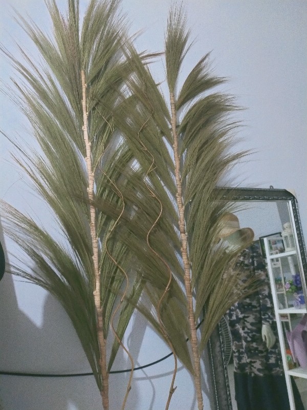 Paket Termurah Homedecor Rayung Rustic Dekorasi Rayung Kering Bunga Rayung Panjang Rayung Natural