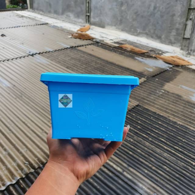 pot bunga tanaman kotak segi hias warna warni 15cm