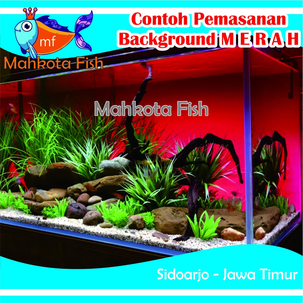 Stiker Aquarium PROMO!! (Extra Lebih Lebar 60cm) | Skotlet Aquarium | Background Aquascape GRATIS SELONGSONG