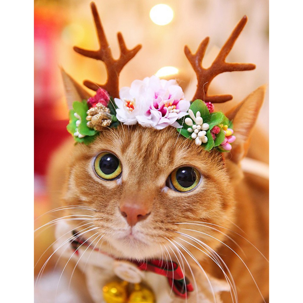 Bando Tema Natal Untuk Aksesori Anjing Dan Kucing Shopee Indonesia