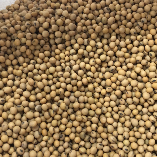 

Kacang Kedelai 500gr