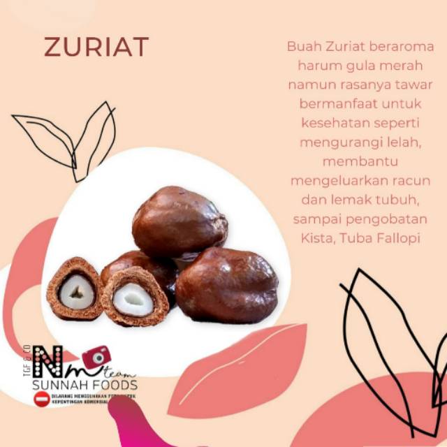 

BUAH ZURIAT PROMIL SATU BUTIR