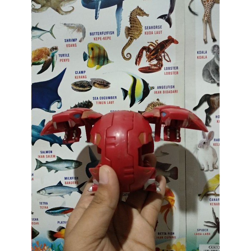 Bakugan Set