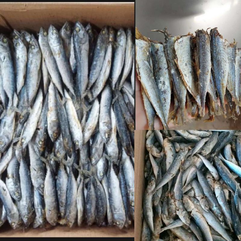 Ikan asin rebus murah khas lampung ikan asin rebus siap olah berat 1 kg