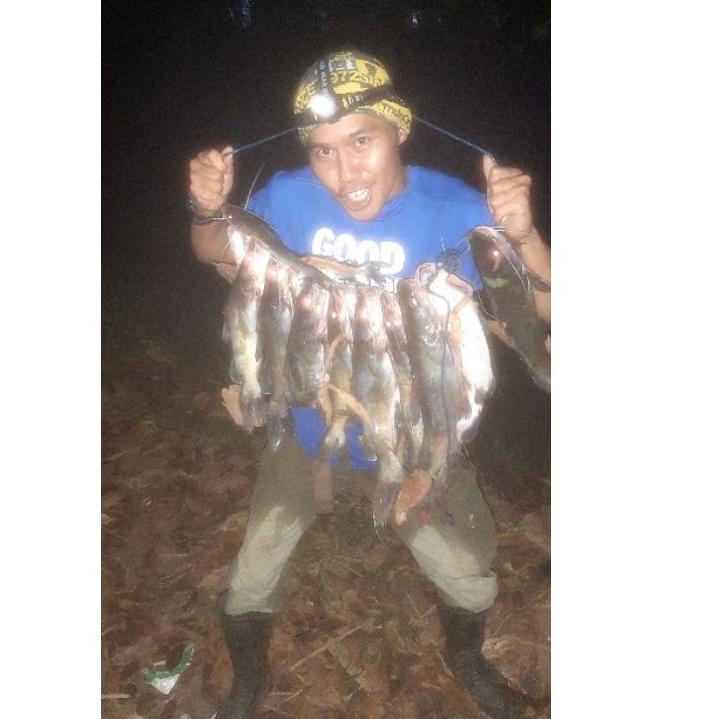 Terbaru.. Kucur kacong Steven