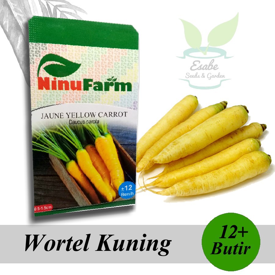 Biji Benih Wortel Kuning - Ninu Farm