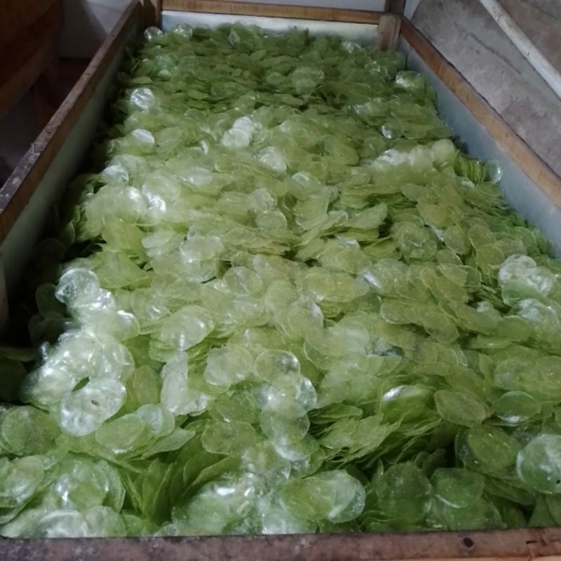 

Keripik Kaca Hijau 1kg (sudah di oven)