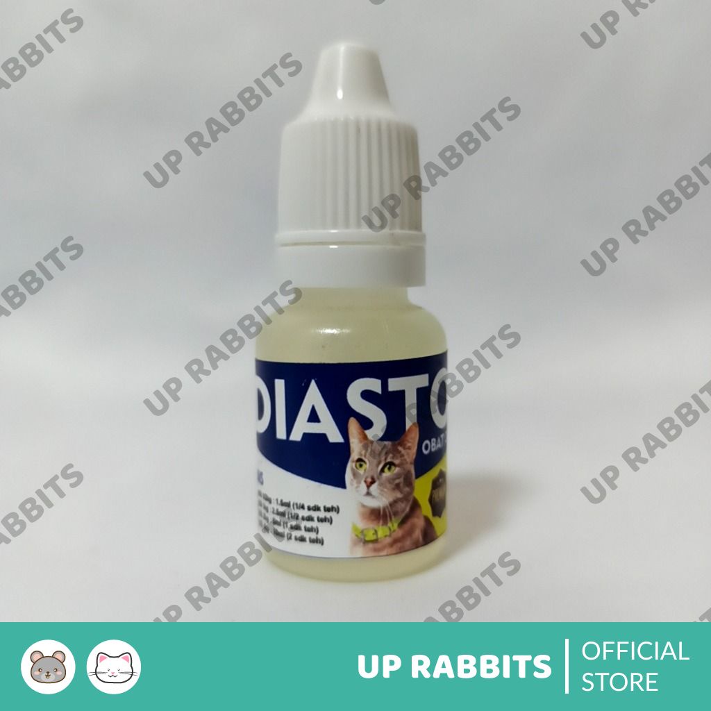 Obat mencret diare berak darah kucing diastop