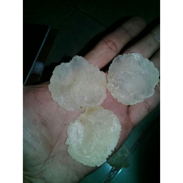 

COD EMPING MELINJO MENTAH KERING HAS PANDEGELANG 1 KG INIH BIJI 4 EMPING TIPIS