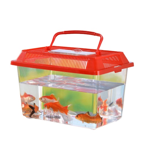 TERARIUM Aquarium Mini Ikan Cupang Ikan Hias Terarium Mini Kura Kura Hamster FEFARM