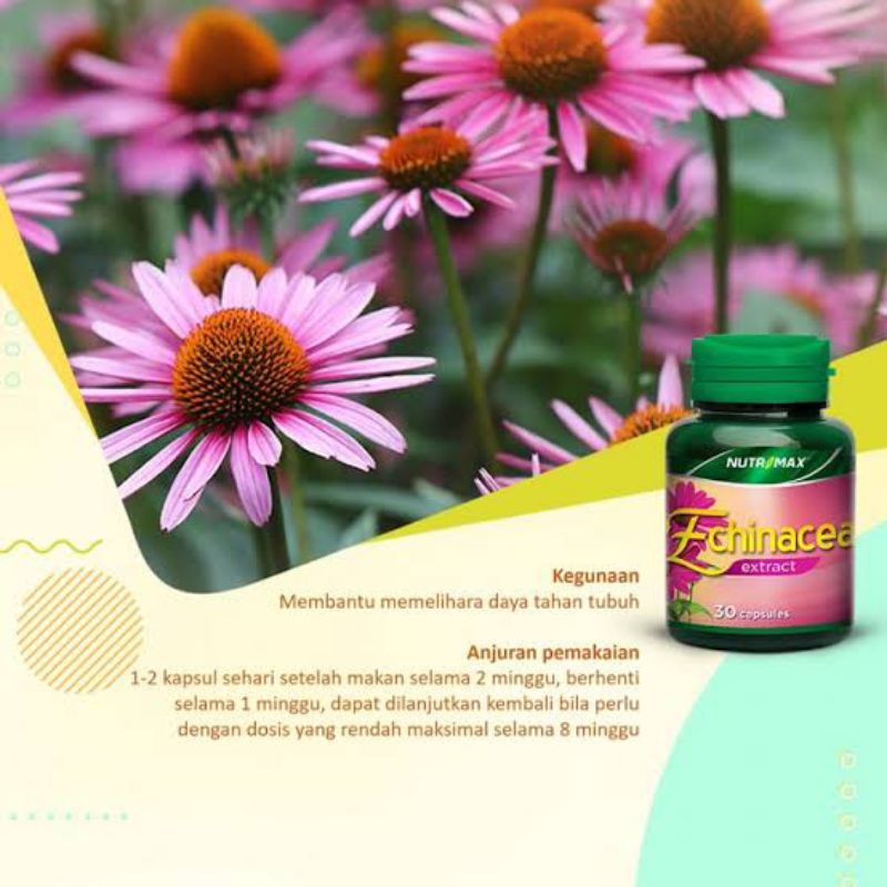 NUTRIMAX ECHINACEA EXTRACT 1000MG VITAMIN KEKEBALAN DAYA